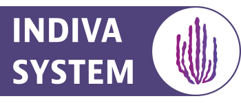 Indiva System Logo